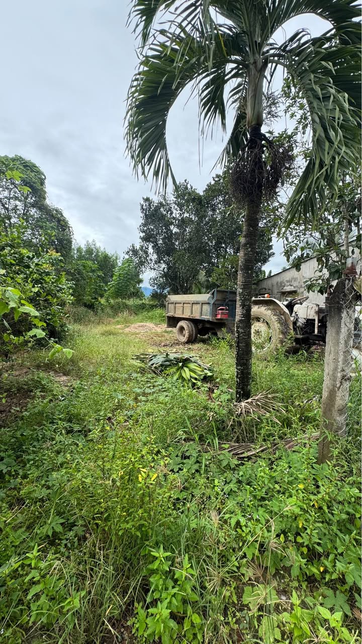 Đất Diên Xuân Diên Khánh 262,8m² giá 500 triệu - Tiềm năng nghỉ dưỡng tuyệt vời!