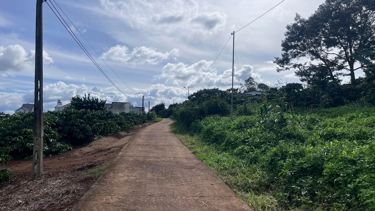 Đất quy hoạch ODT 911m² tại Di Linh - Giá 2.2 tỷ, đầu tư nghỉ dưỡng lý tưởng!