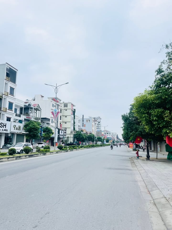 Đất nền mặt đường 359 Ngũ Lão, Thủy Nguyên, Hải Phòng 81m² - Kinh doanh sầm uất!