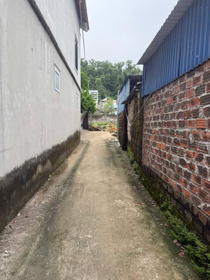 Đất nền Lưu Kiếm 60m² giá chỉ 700 triệu - Đầu tư sinh lời ngay!