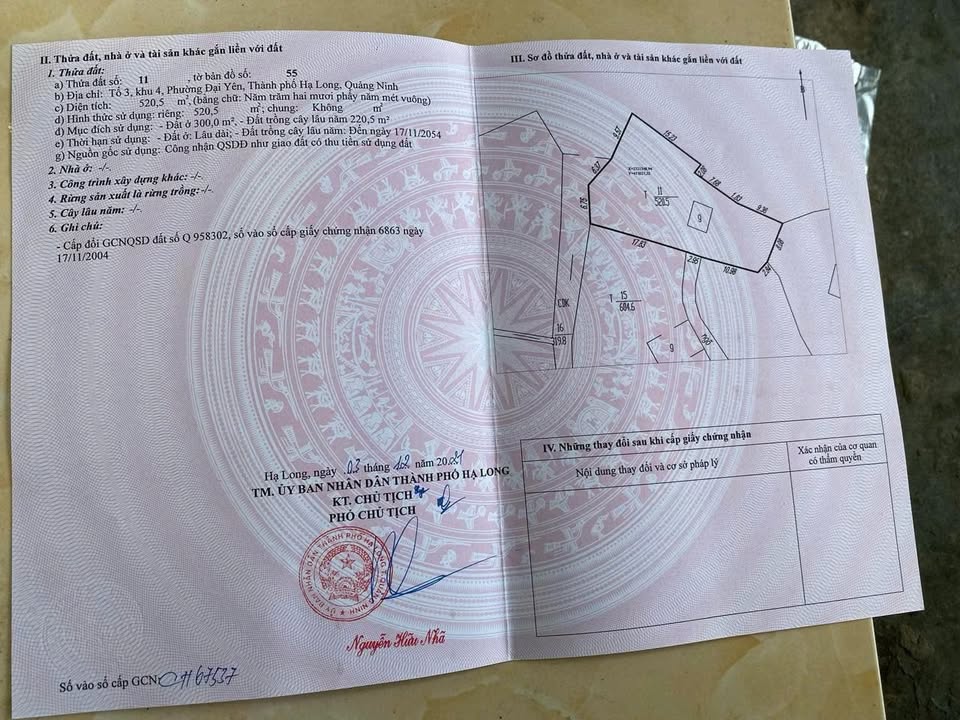 Lô đất vàng 520.5m² tại Hạ Long, Quảng Ninh - Pháp lý rõ ràng, Giá 2 tỷ!