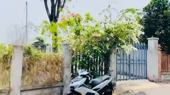 Đất nền Xuyên Mộc Bà Rịa - Vũng Tàu 540m² giá 1.85 tỷ - Cơ hội đầu tư tuyệt vời!