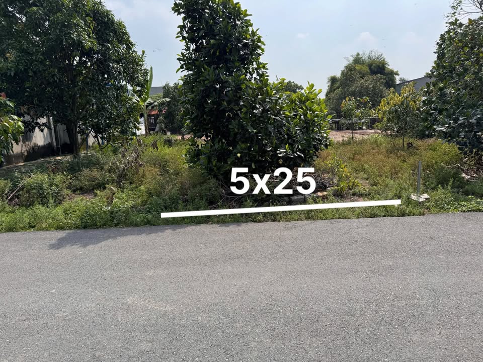 Đất nền mặt tiền Nhựa Nhánh Số 25, Tân Hưng, 100m² chỉ 1.45 tỷ - Nhanh tay sở hữu!