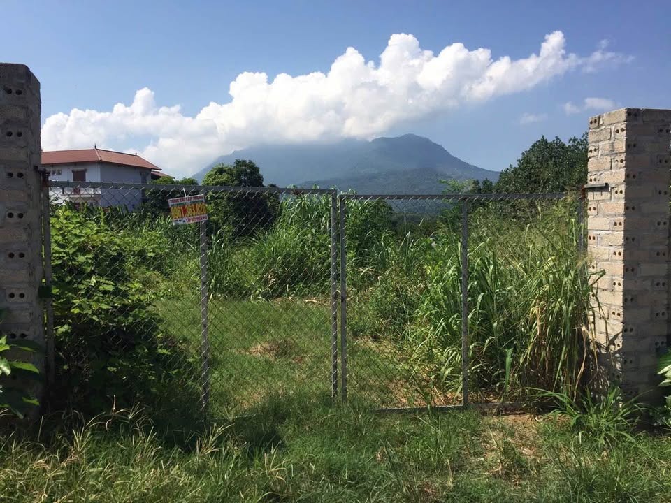 Đất Farm Tản Lĩnh Ba Vì 1.700m² giá thỏa thuận - View núi tuyệt đẹp!