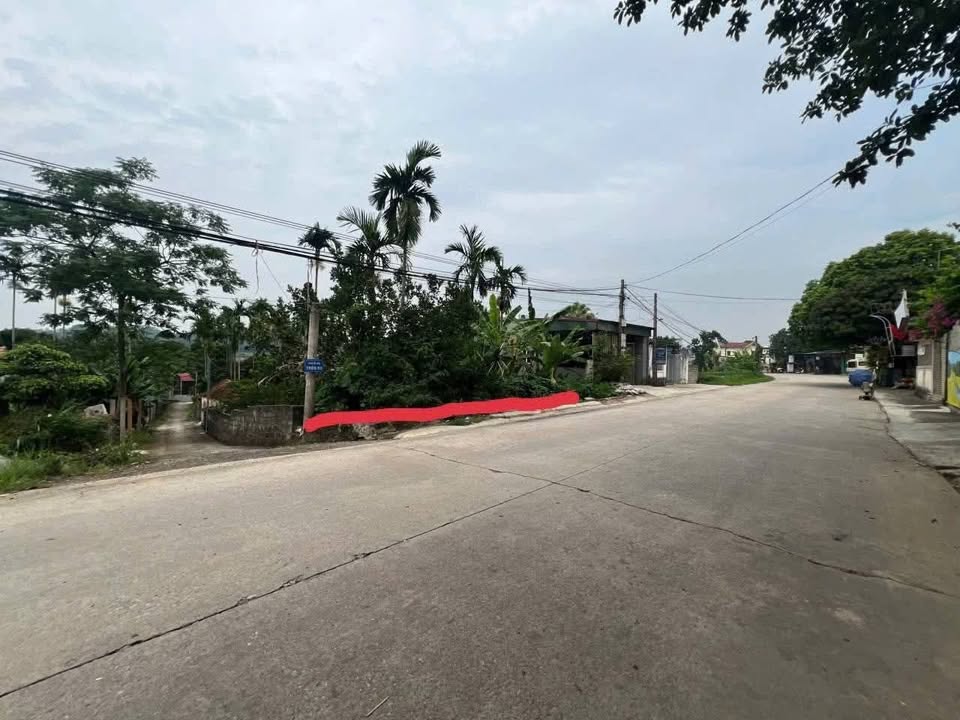Đất nền Yên Thành, Yên Mô 120m² giá 800 triệu - Cơ hội đầu tư không thể bỏ lỡ!