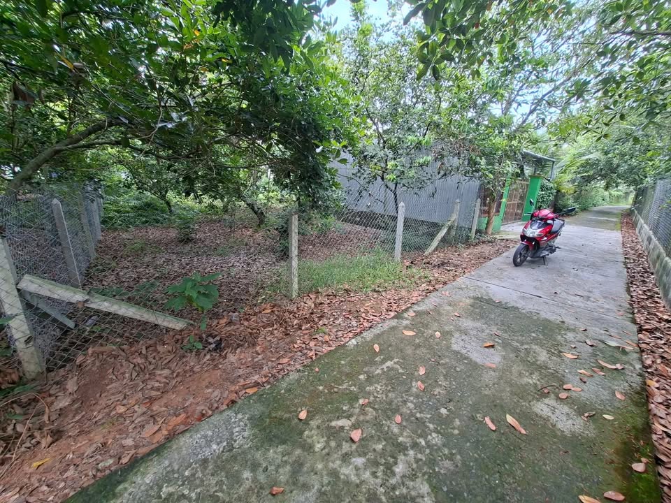 Đất vườn 260m² xã Trung An, Củ Chi - Giá chỉ 2.55 tỷ, xe hơi vào tận nơi!