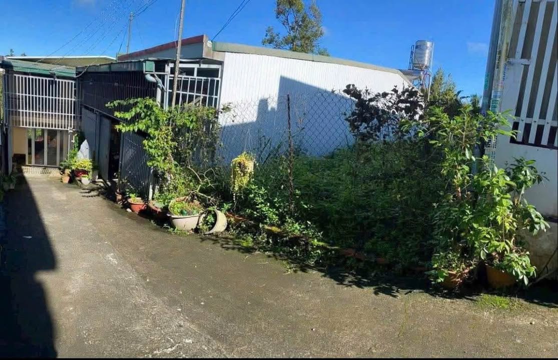 Đất thổ cư hẻm 157 Nguyễn Công Trứ, Bảo Lộc 77m² giá 1.2 tỷ - Đầu tư lý tưởng!