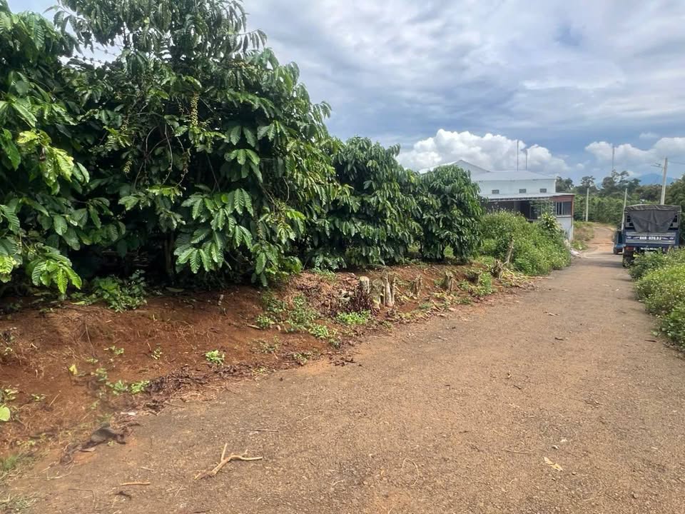 Đất thổ cư Lộc An 1.605m² giá 2.2 tỷ - Sổ đỏ chính chủ, ô tô vào tận nơi!