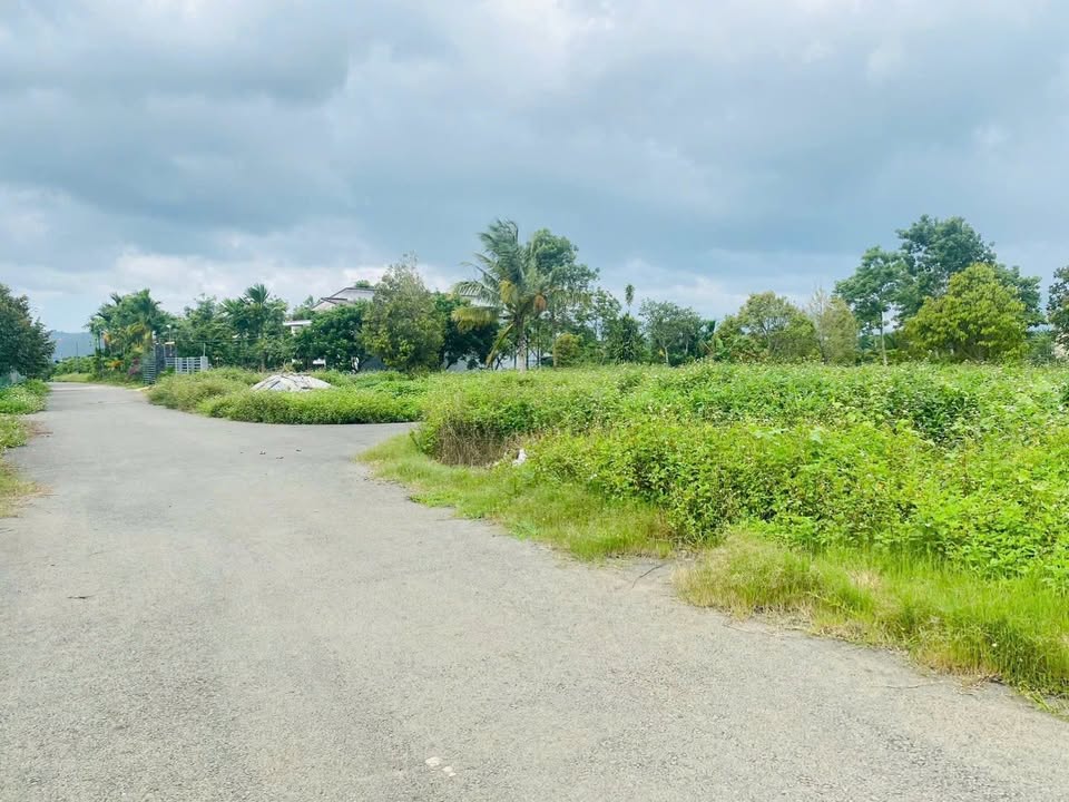 Đất thổ cư Bảo Lâm 3 Lâm Đồng 1.075m² giá 1.4 tỷ - Đường nhựa ô tô vào tận đất!