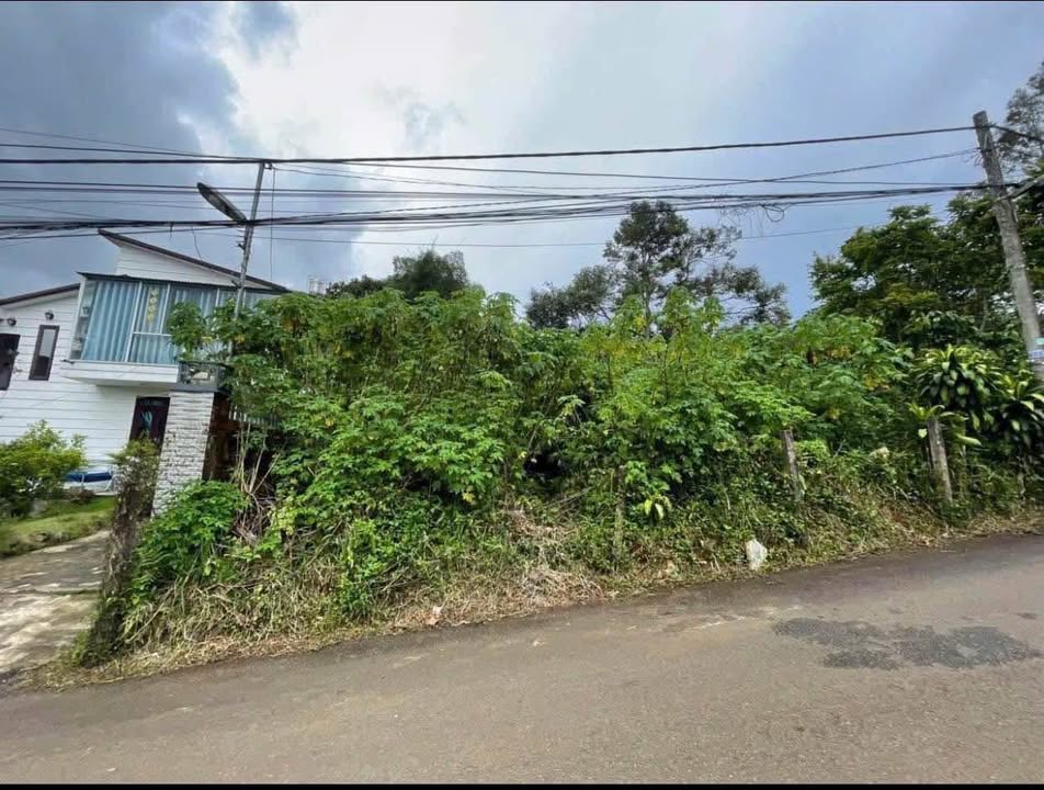 Bán gấp FrontHouse hẻm số 10 Chu Văn An, Bảo Lộc 354m² - Hướng Tây, giá 3.9 tỷ!