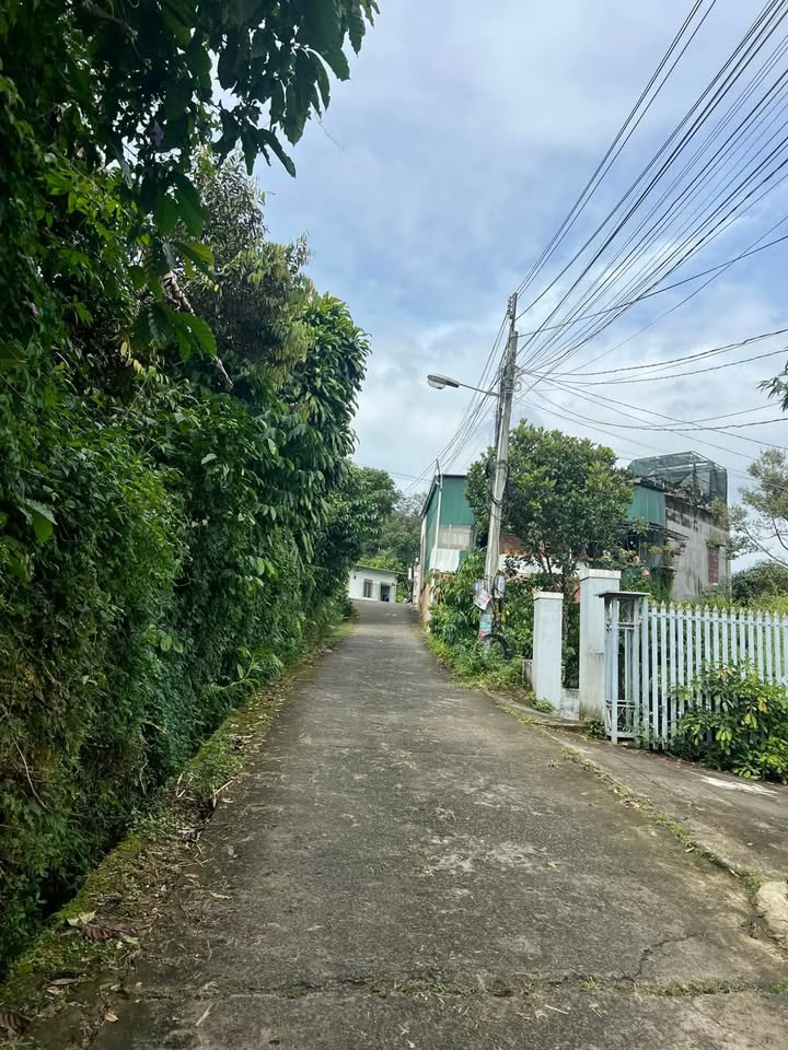 Nhà cấp 4 tại hẻm Lương Văn Can, B'lao, Bảo Lộc 230m² giá 1.8 tỷ - Cơ hội đầu tư hấp dẫn!