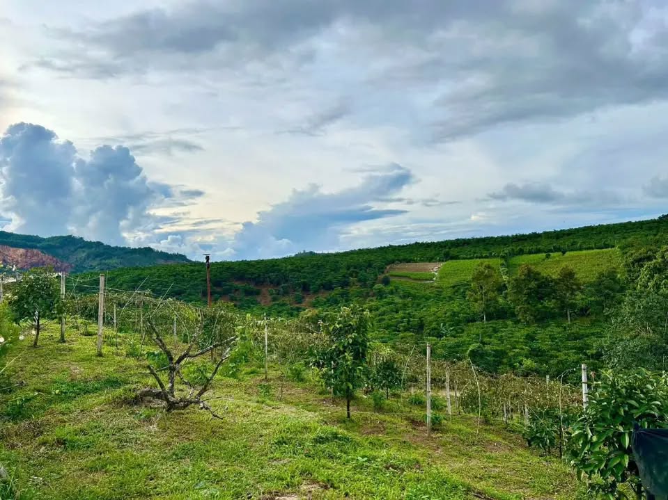 Đất 2 sào mặt tiền 50m tại Hẻm 89 Phùng Hưng - Bảo Lộc - Giá tốt, thương lượng!