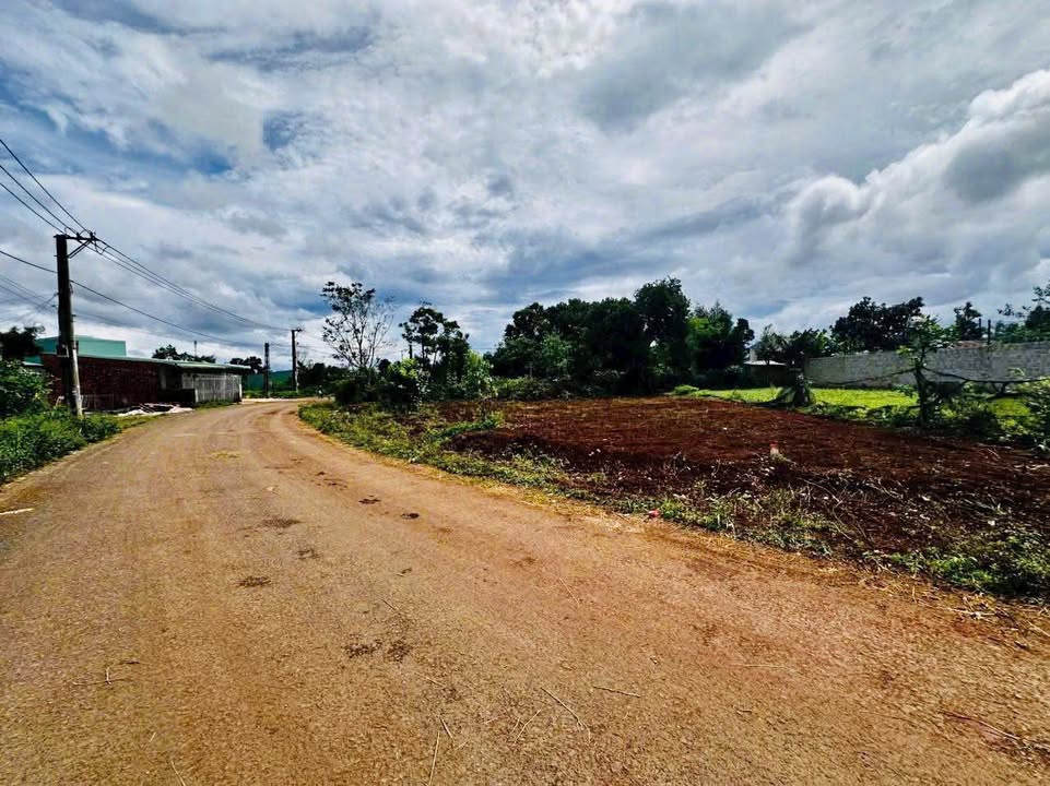 Đất thổ cư 298m² tại Phường An Phú, Pleiku - Giá chỉ 1 tỷ, lý tưởng cho nhà vườn!