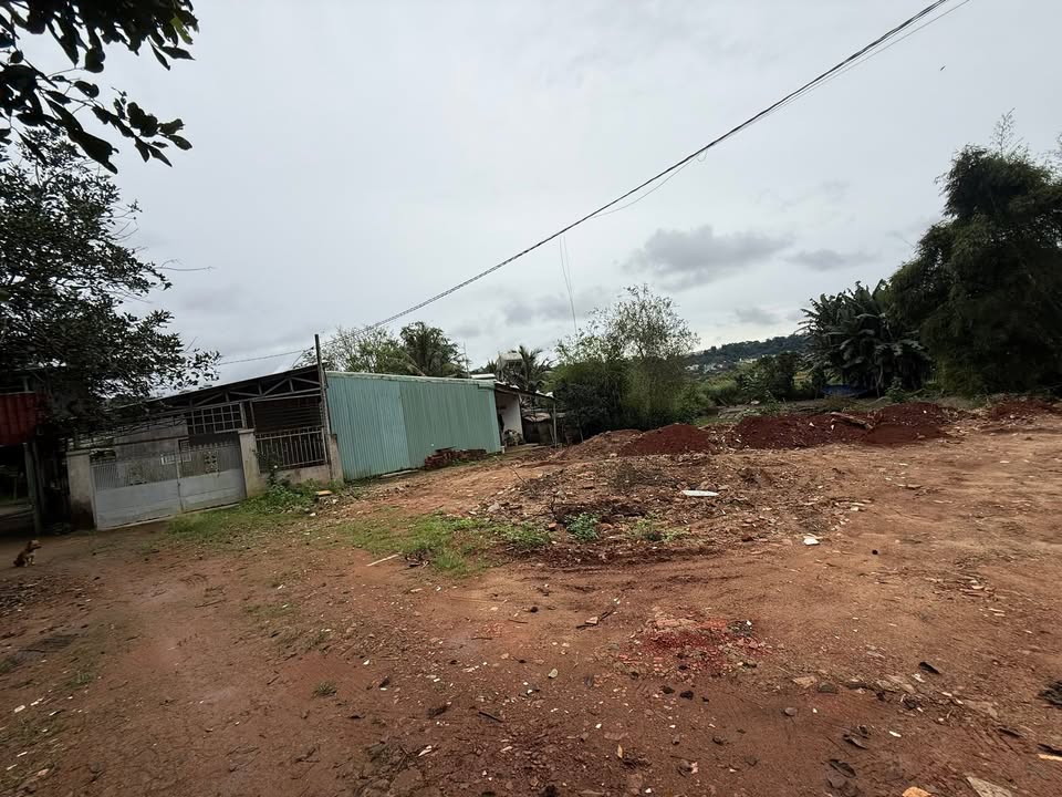 Đất nông nghiệp Hẻm Bùi Viện, Pleiku 1120m² - Giá chỉ 1.3 tỷ, cơ hội đầu tư tuyệt vời!