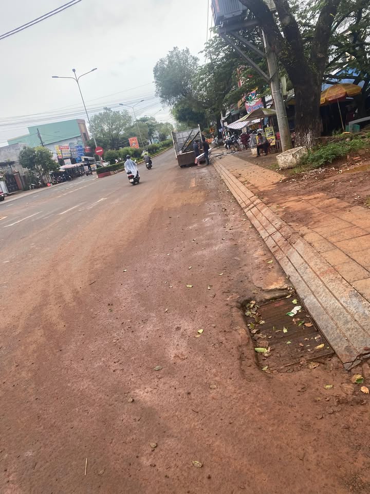 Đất nền dự án Tái Định Cư Nguyễn Văn Linh 105m² giá 1.9 tỷ - Cơ hội đầu tư hấp dẫn!