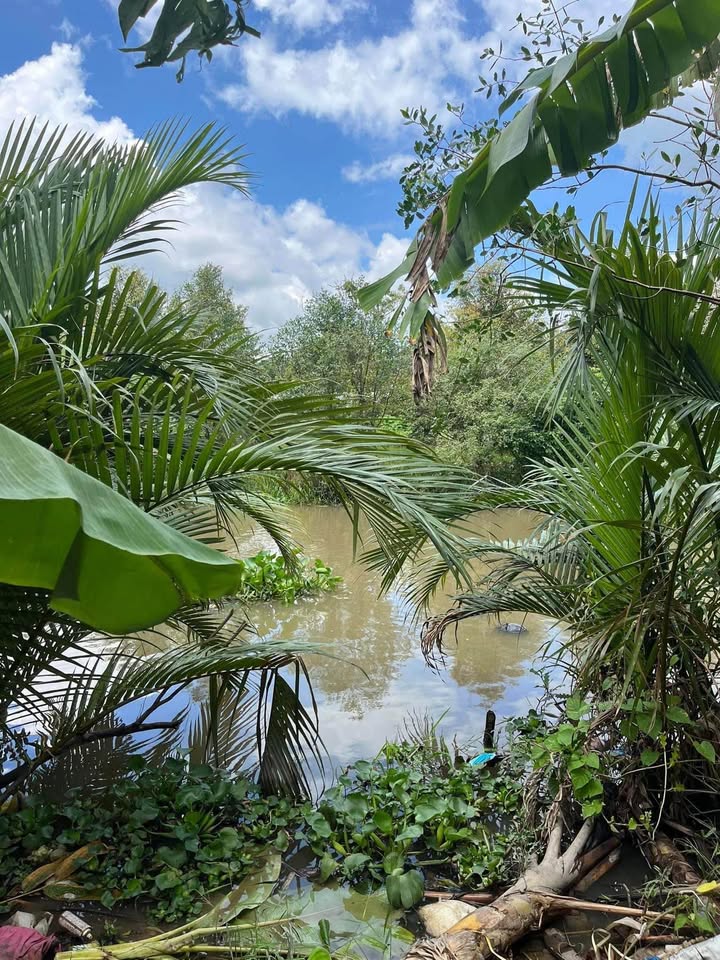 Đất nền Nhơn Ái - Phong Điền 80m² chỉ 360 triệu - Đầu tư sinh lời ngay!