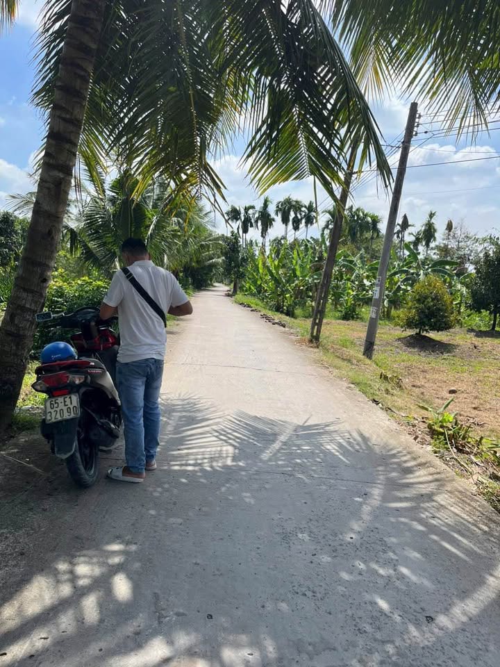 Đất nền thổ cư Nhơn Ái Phong Điền 84m² giá chỉ 4xx - Đầu tư sinh lời ngay!