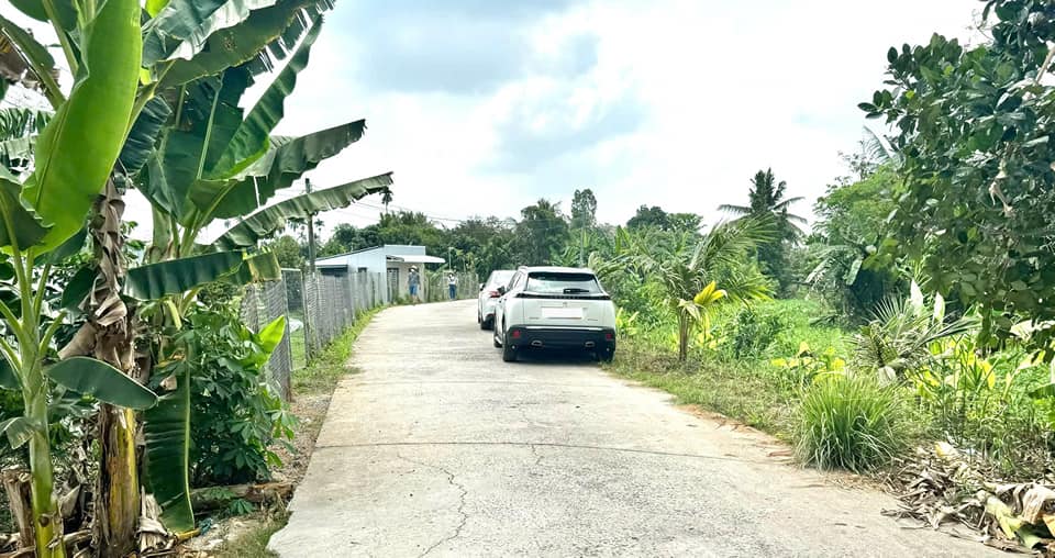 Vườn sầu riêng 2.218m² tại Tỉnh Lộ 923, Cần Thơ - Giá thỏa thuận, sẵn sàng đầu tư!