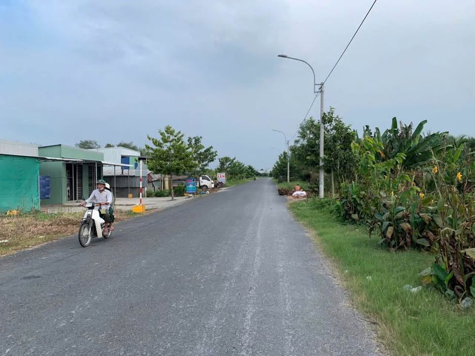 Bán đất nền biệt thự 1000m² tại Bình Minh - Vĩnh Long chỉ 3 tỷ - Vị trí đẹp, cây lâu năm