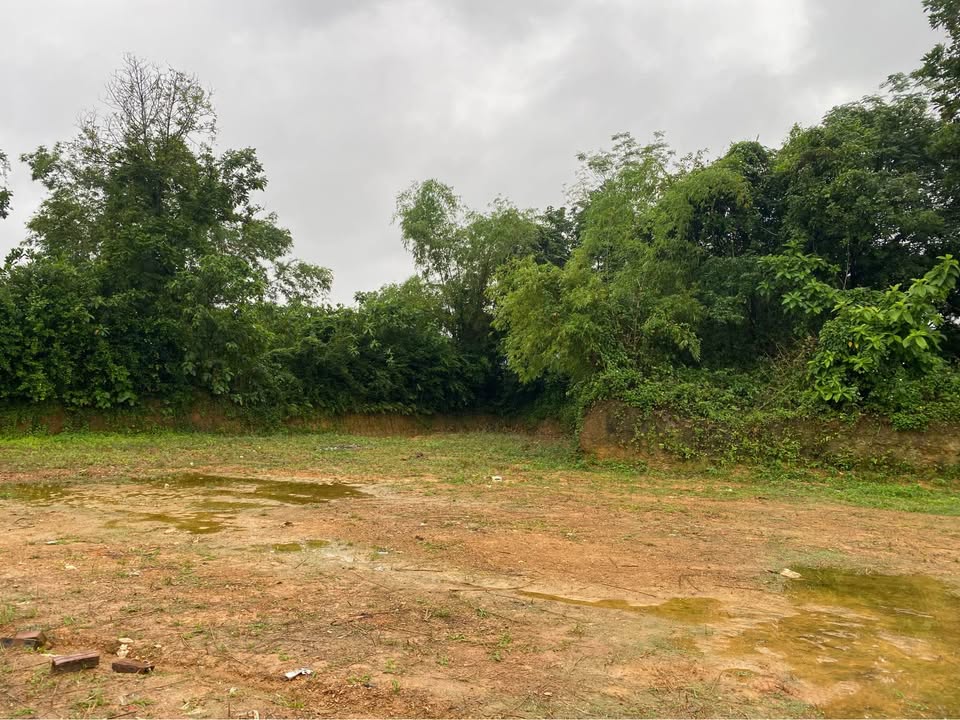 Đất nền Cao Dương, Lương Sơn 1100m² giá 2.2 tỷ - Cơ hội đầu tư tuyệt vời!