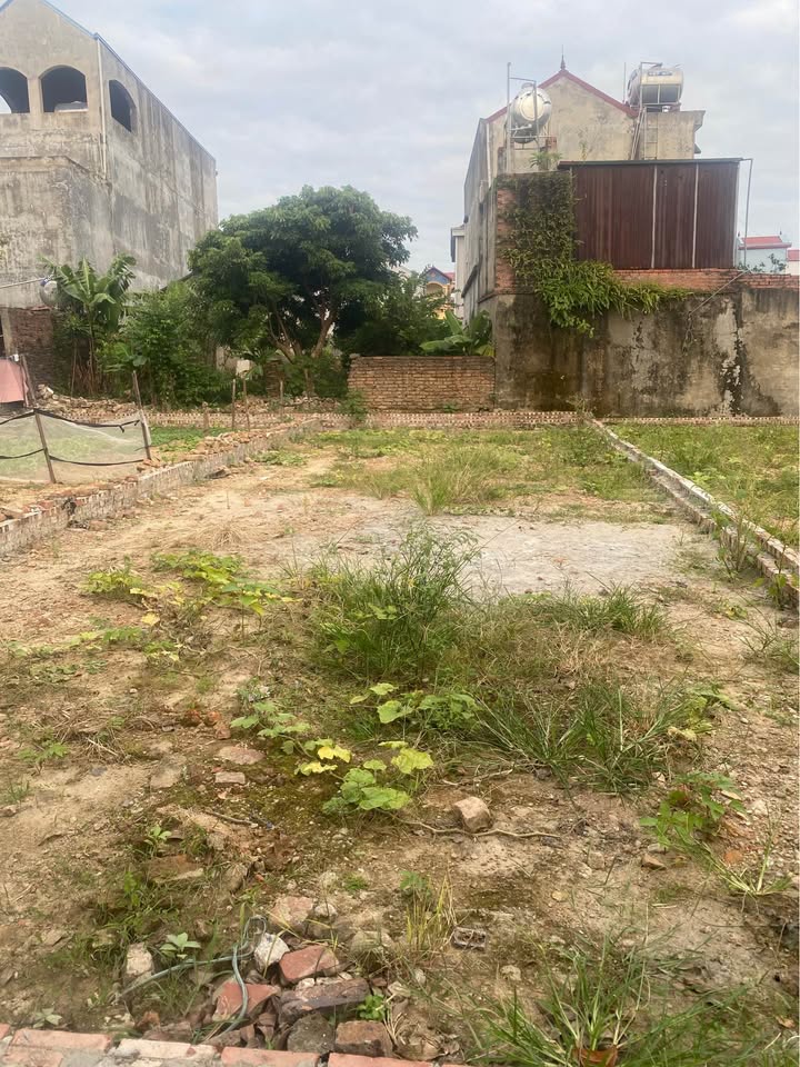 Đất thổ cư Tiên Dược, Sóc Sơn 110m² giá chỉ 3.3 tỷ - Bán gấp cắt lỗ!