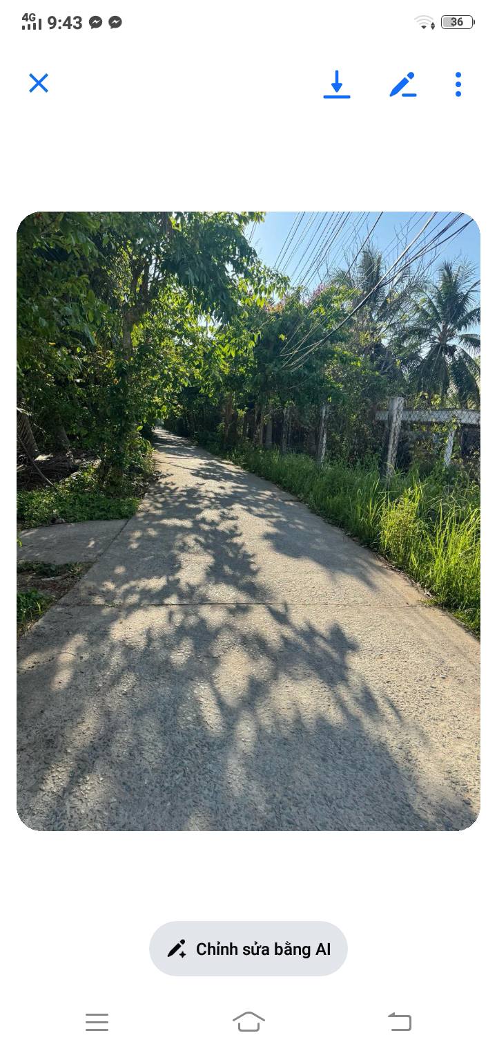 Đất nền 3000m² tại xã Mỹ Thạnh An, TP Bến Tre - Sổ đỏ chính chủ, giá chỉ 6 tỷ