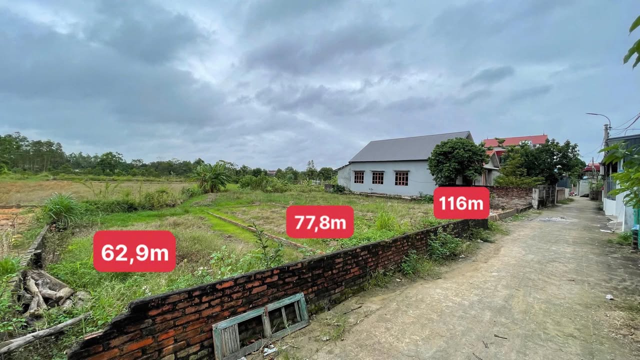 Đất nền Xuân Hòa Phúc Yên 62m² giá 700 triệu - Đầu tư sinh lời ngay!