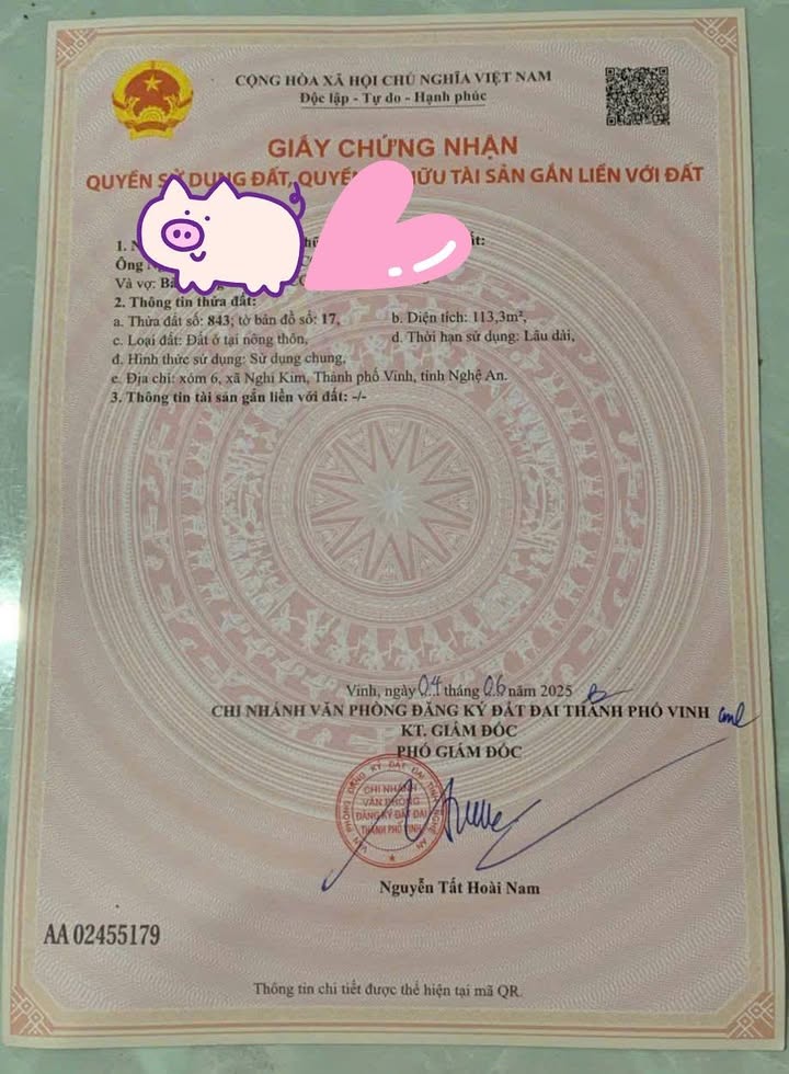 Đất Nghi Kim – Đường Hòa Thuận 113m² giá 3 tỷ - Lô góc 2 mặt đường thoáng đẹp!