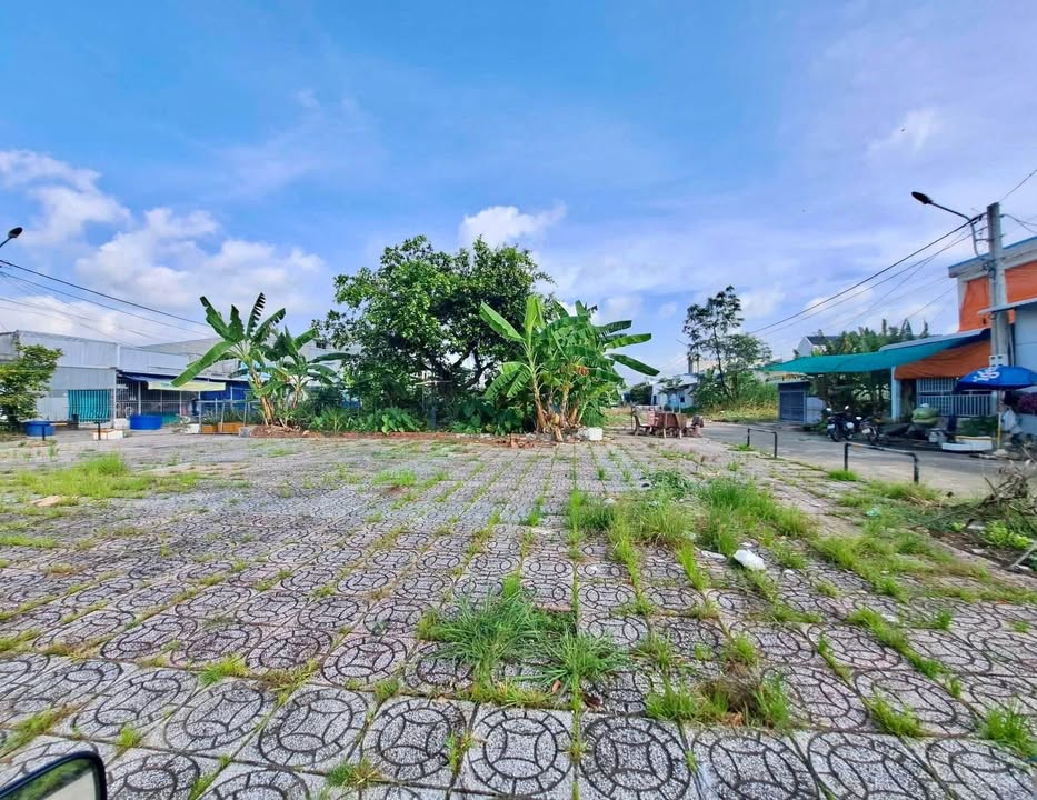 Đất nền mặt tiền công viên, phường Lý Văn Lâm, 103m² - Cơ hội đầu tư lý tưởng!