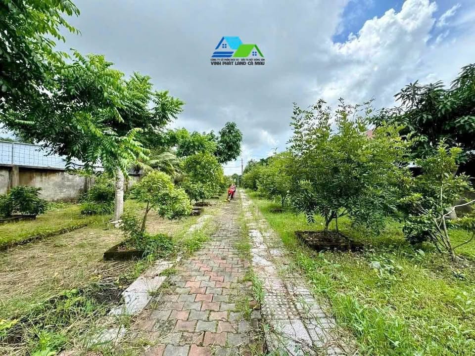 Đất Lập Vườn Phường Tân Xuyên Cà Mau 1440m² giá 2 tỷ - Cơ hội đầu tư hấp dẫn!