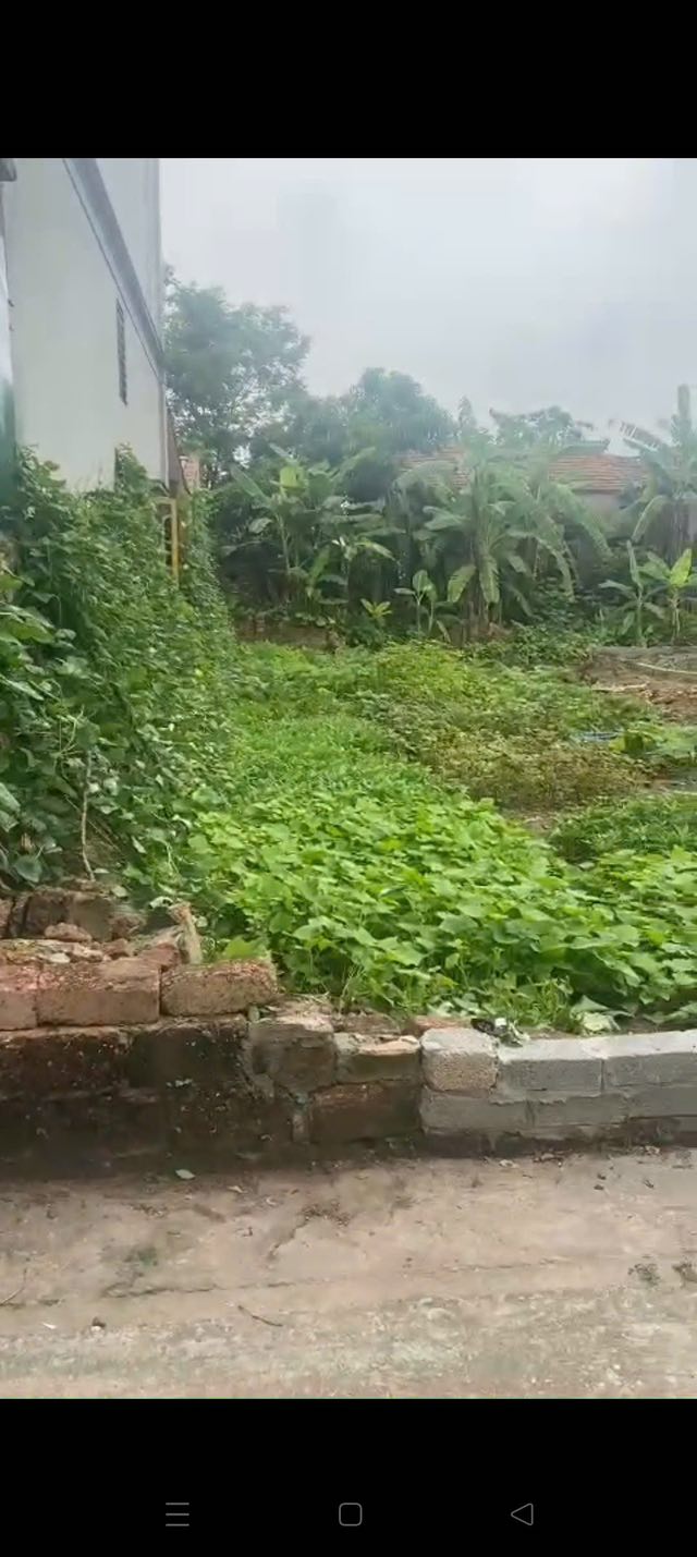 Đất nền Tân Châu Khoái Châu 119.5m² giá chỉ 2x triệu - Cơ hội đầu tư tuyệt vời!