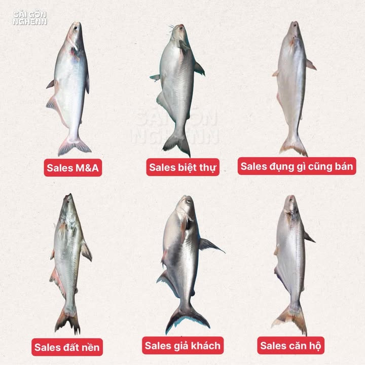 Cho thuê nhà CHDV Sư Vạn Hạnh, Q10 - Diện tích lớn, lợi nhuận cao 23 triệu!