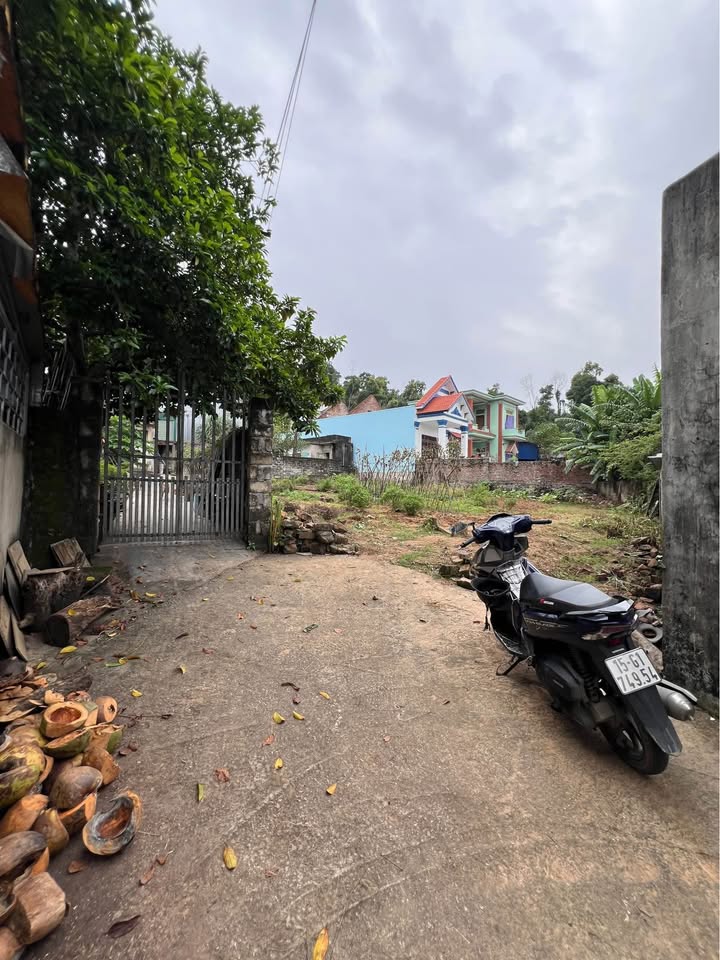 Đất nền phường Lưu Kiếm, Thủy Nguyên, Hải Phòng, 60m² giá chỉ từ 700 triệu - Cơ hội đầu tư tuyệt vời!