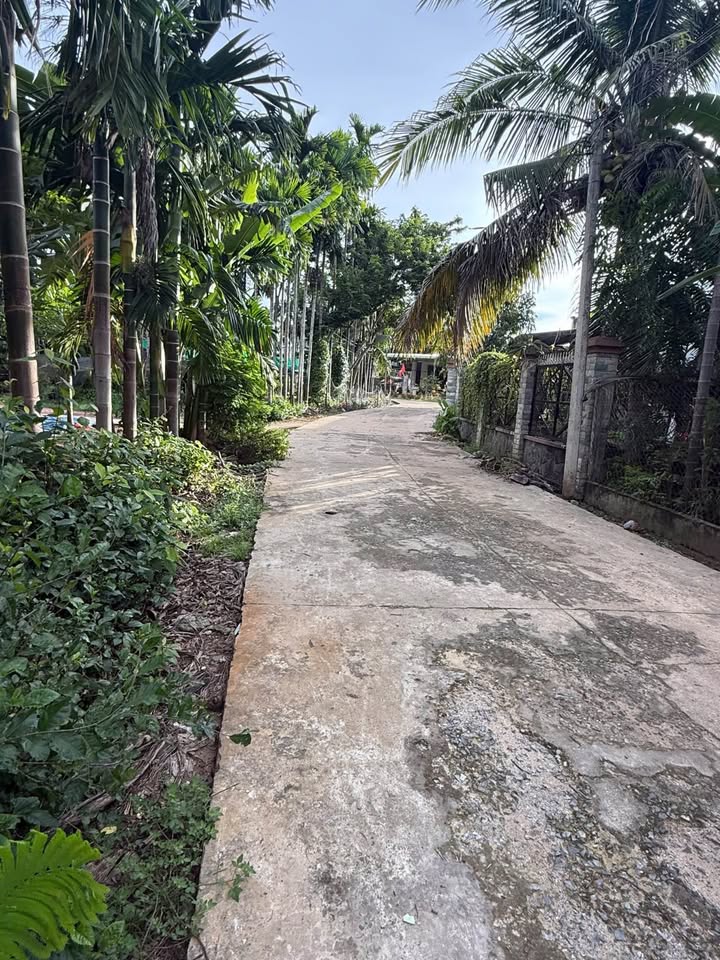 Đất thổ cư mặt tiền đường bê tông tại Tân Biên, Tây Ninh 1344m² giá 86.24 tỷ - Cơ hội đầu tư hấp dẫn!