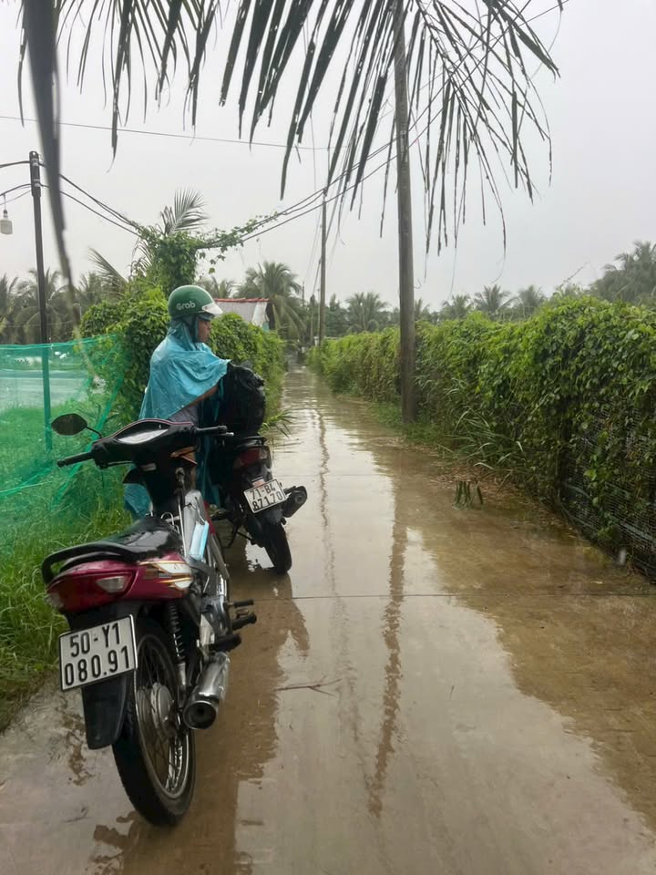 Đất Farm 1,4 Mẫu Tại Xã Phú Long, Huyện Bình Đại, Bến Tre - Giá 10,08 Tỷ