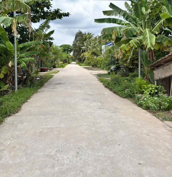 Đất mặt tiền liên xã Mỹ Thạnh - Giồng Trôm 450m² giá 990 triệu - Cơ hội đầu tư tuyệt vời!