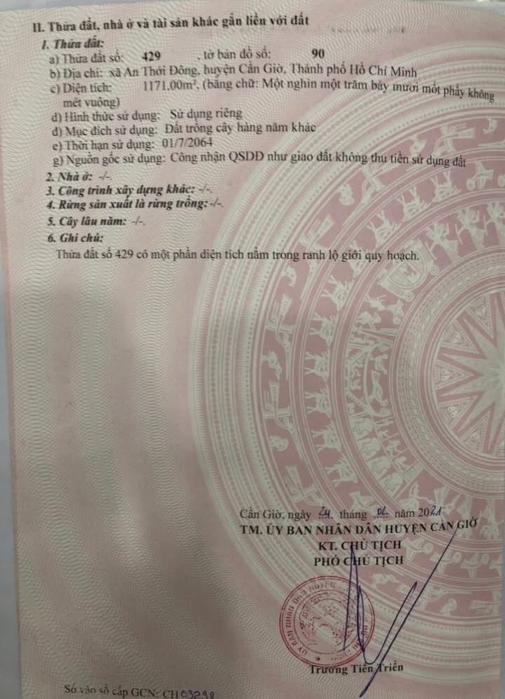 Đất nền Cần Giờ 1171m² giá thỏa thuận - Mặt tiền Đê Quốc Phong