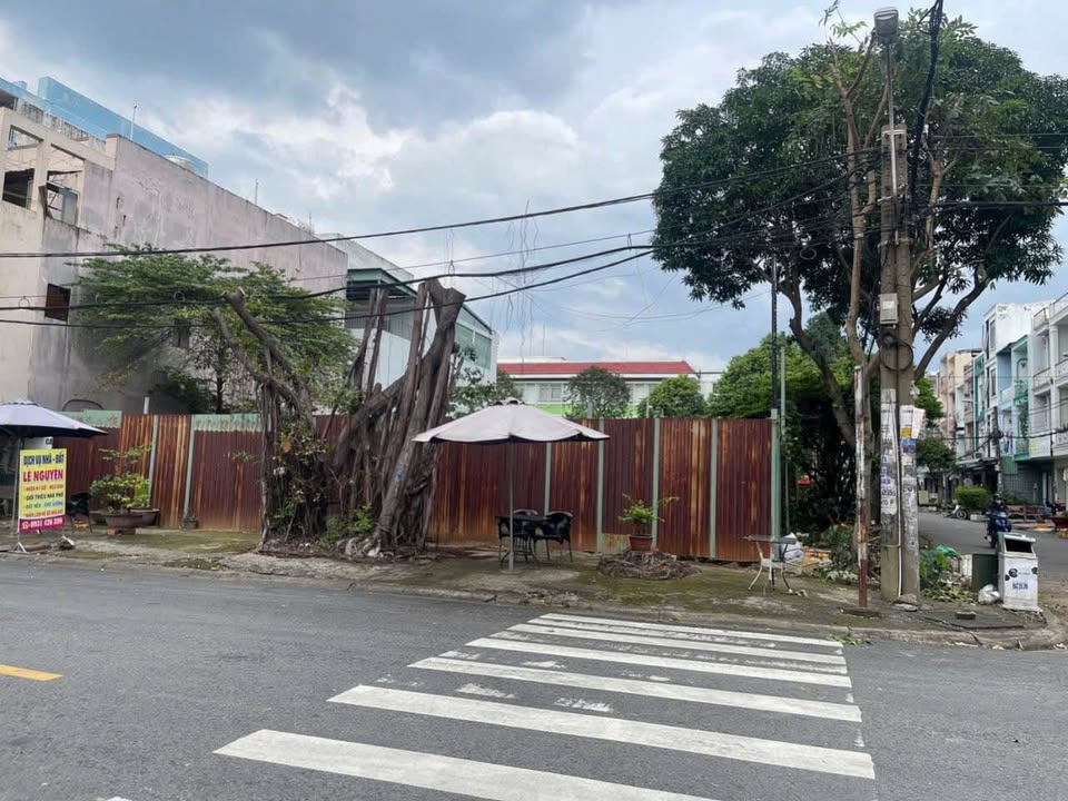 Đất góc 2 mặt tiền kinh doanh đường số 50, Tân Tạo 100m² giá 12.5 tỷ - Vị trí đắc địa, kinh doanh thuận lợi!