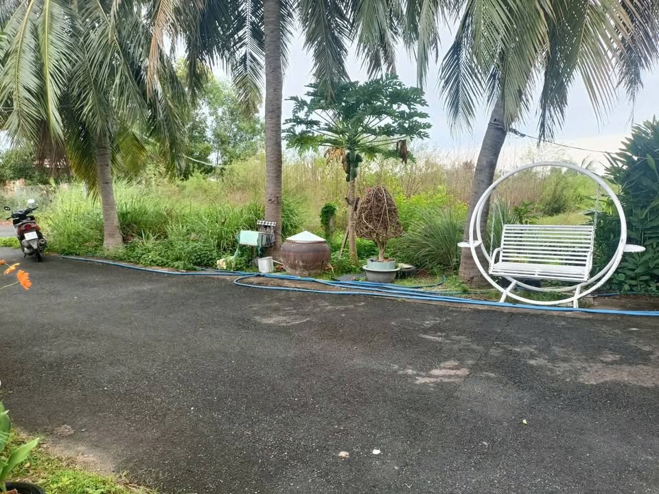 Đất CLN 1000m² mặt tiền đường nhựa Phong Nẫm, Bình Thuận - Chính chủ bán gấp!