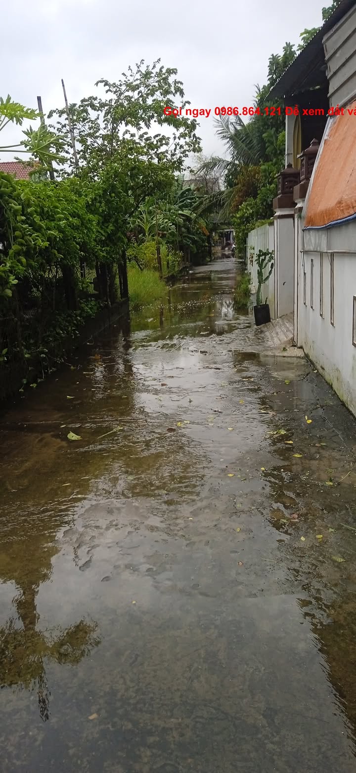 Đất thổ cư Cẩm Châu 57,5m² giá chỉ 1,87 tỷ - Ô tô tận nơi, gần phố cổ!