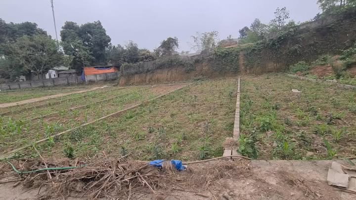 Đất nền An Phú, Mỹ Đức 116.6m² giá thỏa thuận – Cơ hội đầu tư tốt!