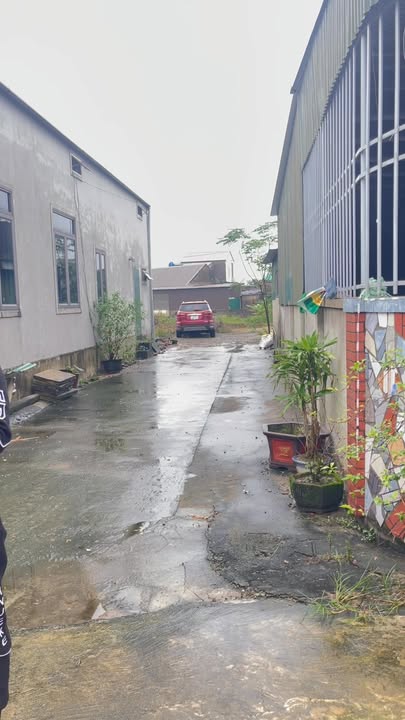 Đất liền kề tại Hưng Mỹ Hưng Nguyên 113m² giá 1.5 tỷ - Cơ hội đầu tư tuyệt vời!