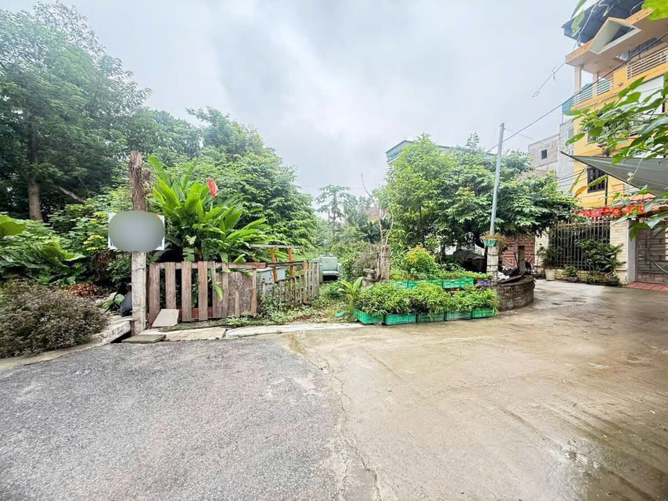 Đất lô góc 445m² Khuyến Lương, Hoàng Mai giá 7.8 tỷ - Tiềm năng vượt trội!