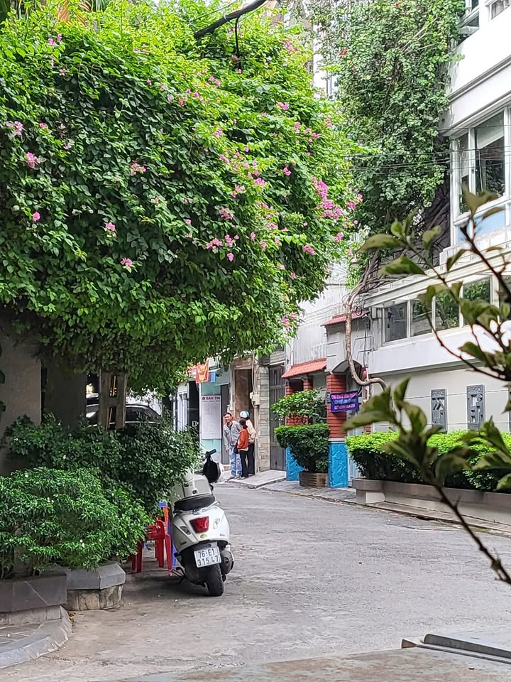 Đất 161m² tại Tân Bình - Giá 29 tỷ - Đầu tư Biệt thự hoặc Văn phòng cực kỳ tiềm năng!