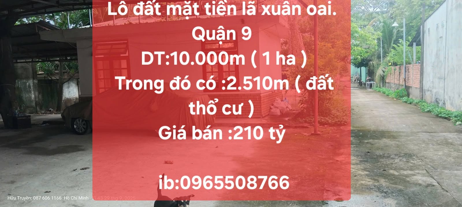 Đất nền mặt tiền Lã Xuân Oai, quận 9, 10.000m² - Cơ hội đầu tư hấp dẫn!