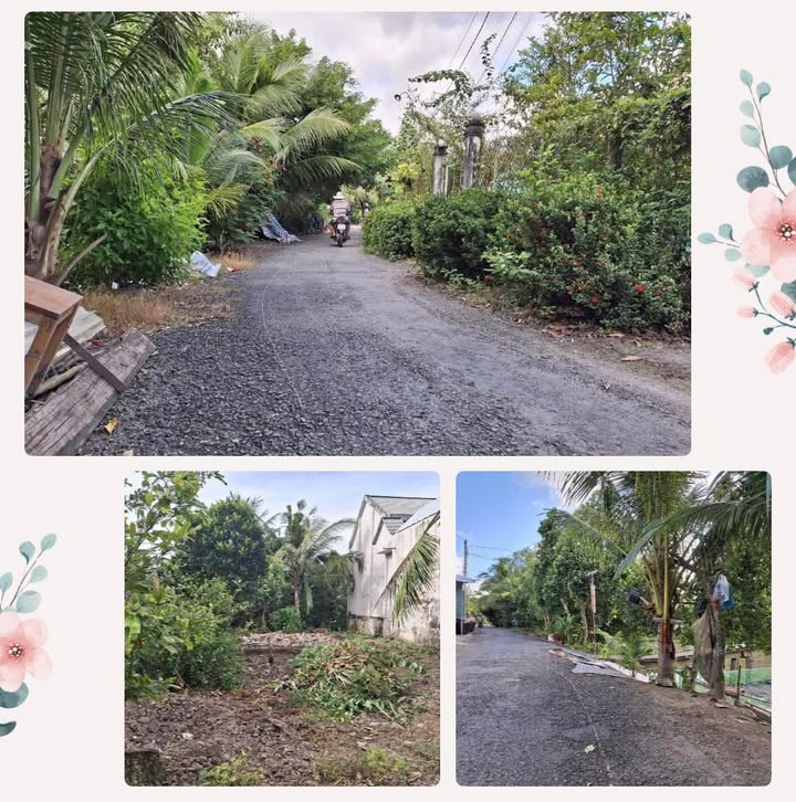 Đất nền Tân Bình, Cai Lậy 125m² - Đường ô tô vào tận nơi!