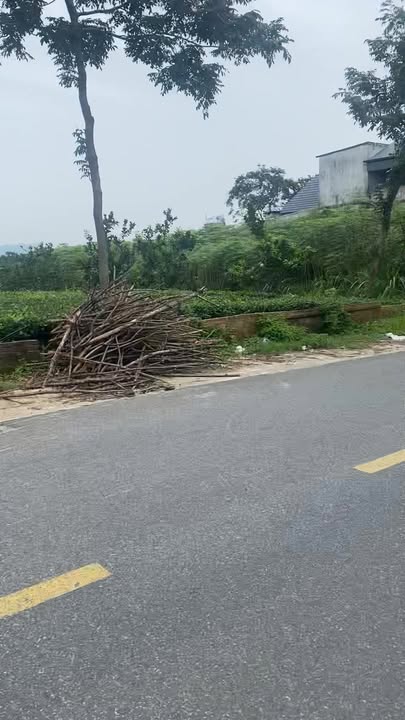 Bán FrontHouse mặt tiền đường Trục Trình, Thanh Sơn, 130m² - Giá thỏa thuận hấp dẫn!