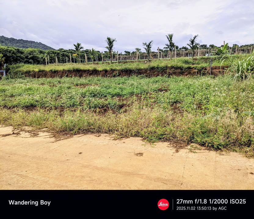 Đất nền thổ cư 150m² tại thôn An Ninh, Lâm Đồng - Giá chỉ 1.35 tỷ!