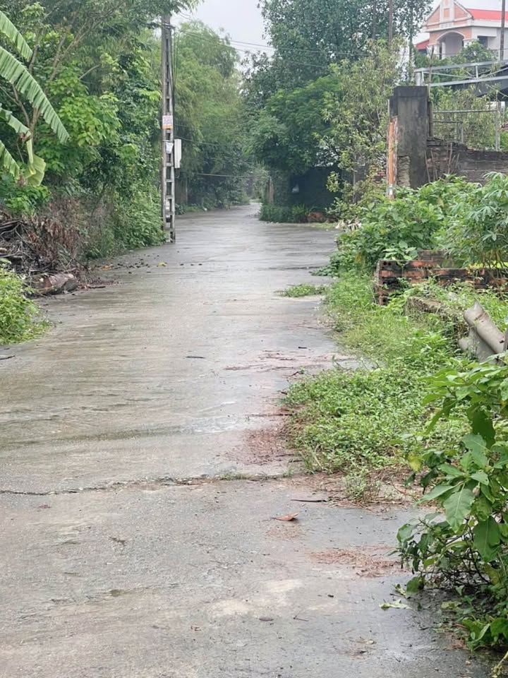 Đất nền Minh Nông, TP Việt Trì 100m² chỉ 1.9 tỷ - Cơ hội đầu tư tuyệt vời!