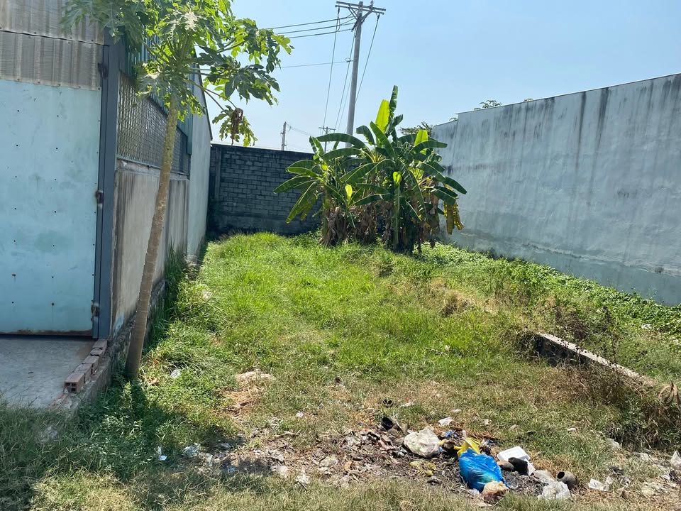 Đất nền ấp Hình Hữu 1, xã Đức Hòa Thượng, 100m² giá 1.4 tỷ - Đường ô tô, vị trí đẹp!